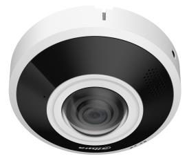 NET CAMERA 6MP FISHEYE DOME/IPC-EBW5641-AS DAHUA