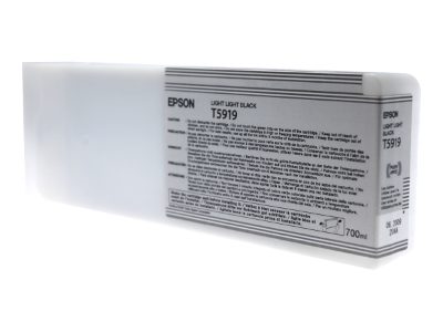 Epson T591900, Ink cartrige, Light Light Black