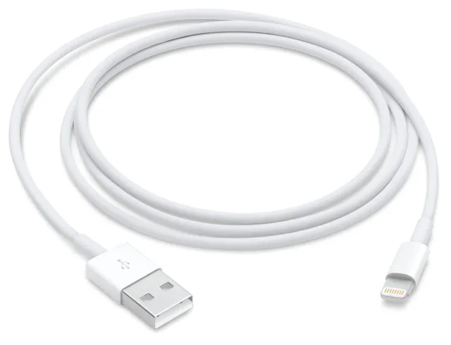 Apple Lightning to USB Cable (1m) | Apple