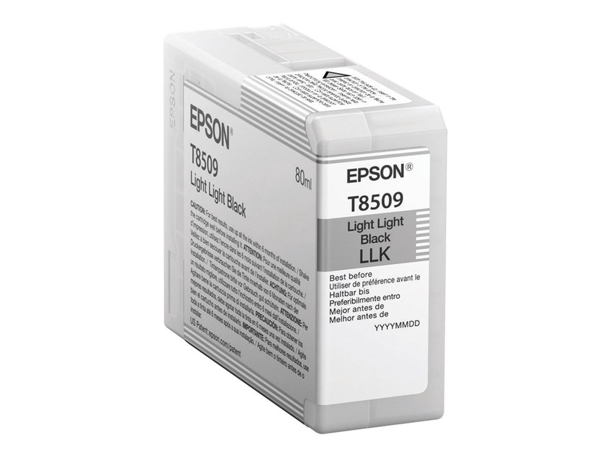 Epson T850900, Ink Cartridge, Light Black