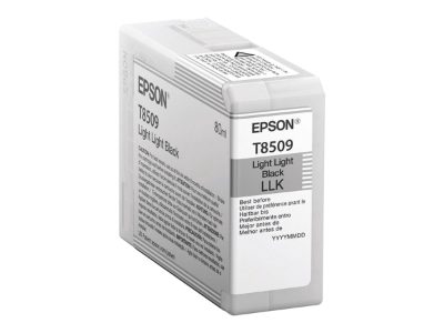 Epson T850900, Ink Cartridge, Light Black