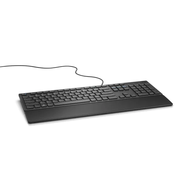 Dell | KB216 | Multimedia | Wired | US | Black