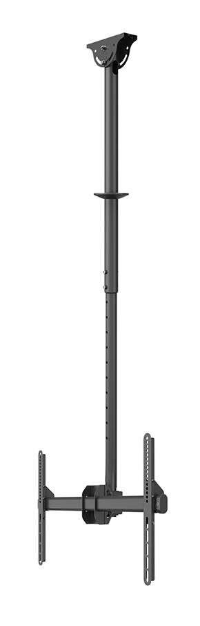 Neomounts CL35-440BL16L Monitor/TV Mount Ceiling, Adjustable Height, Rotate, Tilt, Swivel, 37-70 ", Maximum weight (capacity) 50 kg, Black