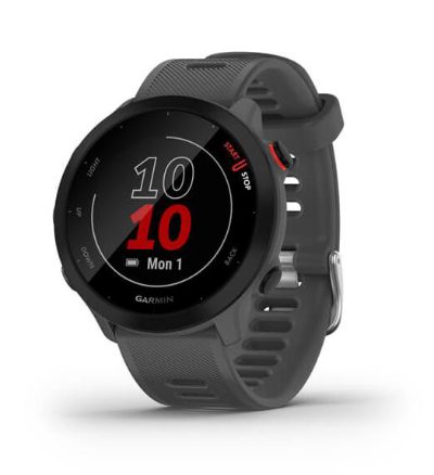 SMARTWATCH FORERUNNER 55/GREY 010-02562-13 GARMIN