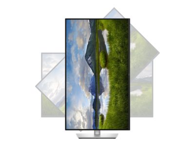 P3225QE, 32 ", IPS, 4K UHD, 16:9, 100 Hz, 5 ms, 3840 x 2160 pixels, 350 cd/m², HDMI ports quantity 1, Warranty 60 month(s)