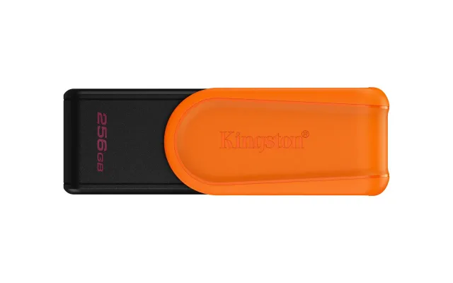 MEMORY DRIVE FLASH USB3.2/256GB DTXS/256GB KINGSTON