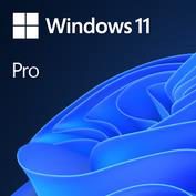 Software, MICROSOFT, Win 11 Pro GGK 64Bit Eng Intl 1pk DSP ORT OEI DVD, Win Pro, OEM, English, 4YR-00316