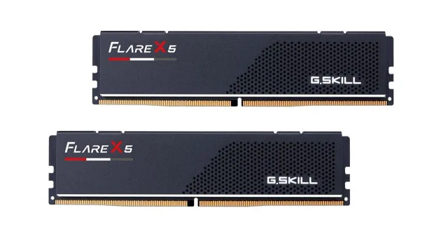 MEMORY DIMM 64GB DDR5-6000 K2/F5-6000J3040G32GX2-FX5 G.SKILL